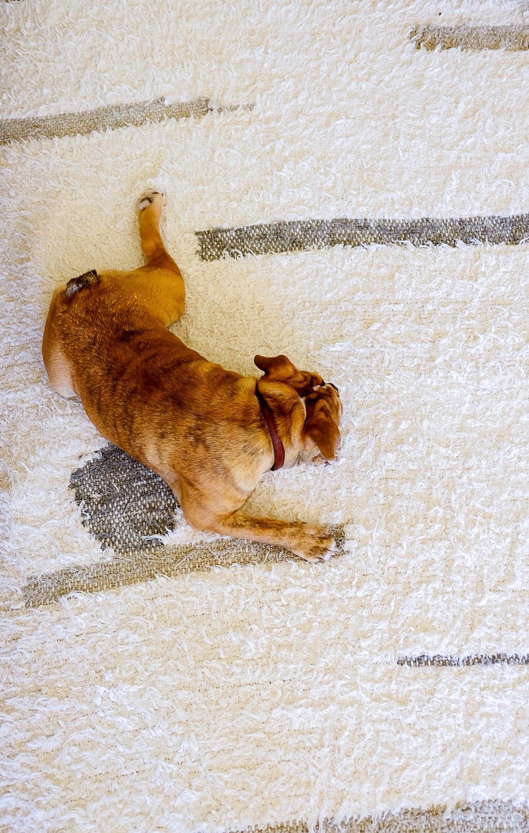 Zoom